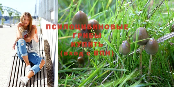МДПВ Абинск