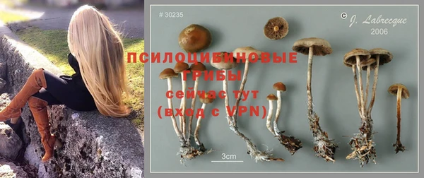 МДПВ Абинск