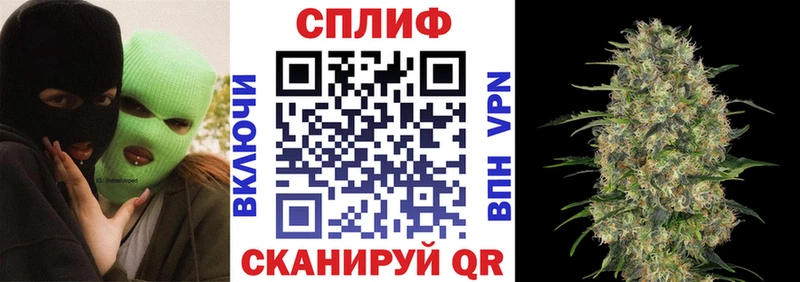 Шишки марихуана индика  мориарти телеграм  Чита 